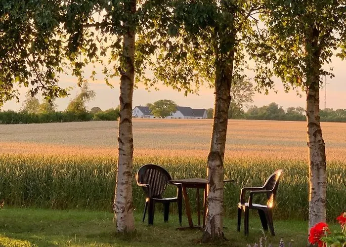 Romantik Luxus Glamping 2 럭셔리텐트