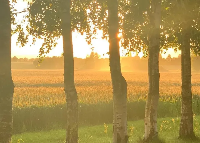 럭셔리텐트 Romantik Luxus Glamping 2